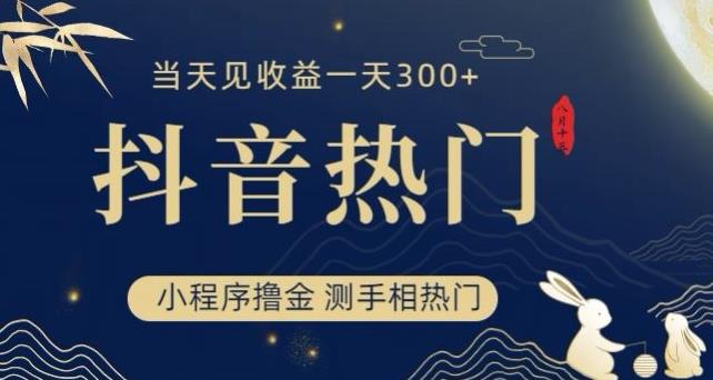 抖音最新小程序撸金，测手相上热门，当天见收益一小时变现300+【揭秘】-猫哥网资源库