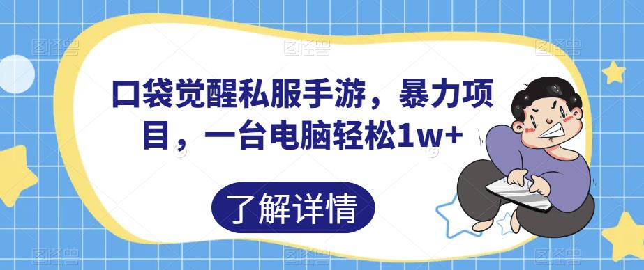 口袋觉醒私服手游，暴力项目，一台电脑轻松1w+【揭秘】-猫哥网资源库