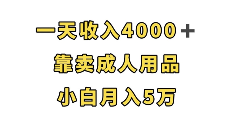 一天收入4000+，靠卖成人用品，小白轻松月入5万【揭秘】-猫哥网资源库