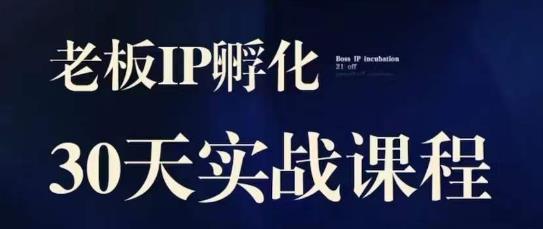 诸葛·2023老板IP实战课，实体同城引流获客，IP孵化必听-猫哥网资源库