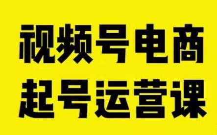 视频号电商起号运营课，教新人如何自然流起号，助力商家0-1突破-猫哥网资源库