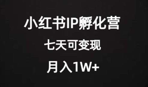 价值2000+的小红书IP孵化营项目，超级大蓝海，七天即可开始变现，稳定月入1W+-猫哥网资源库