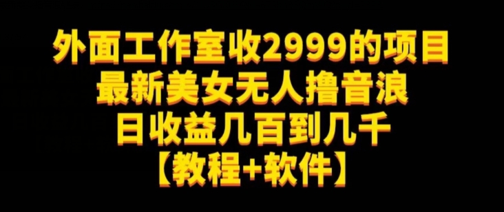 外面工作室收2999的项目最新美女无人撸音浪日收益几百到几千【教程+软件】（仅揭秘）-猫哥网资源库