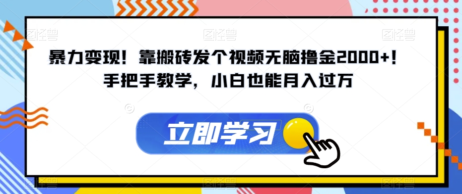暴力变现！靠搬砖发个视频无脑撸金2000+！手把手教学，小白也能月入过万【揭秘】-猫哥网资源库