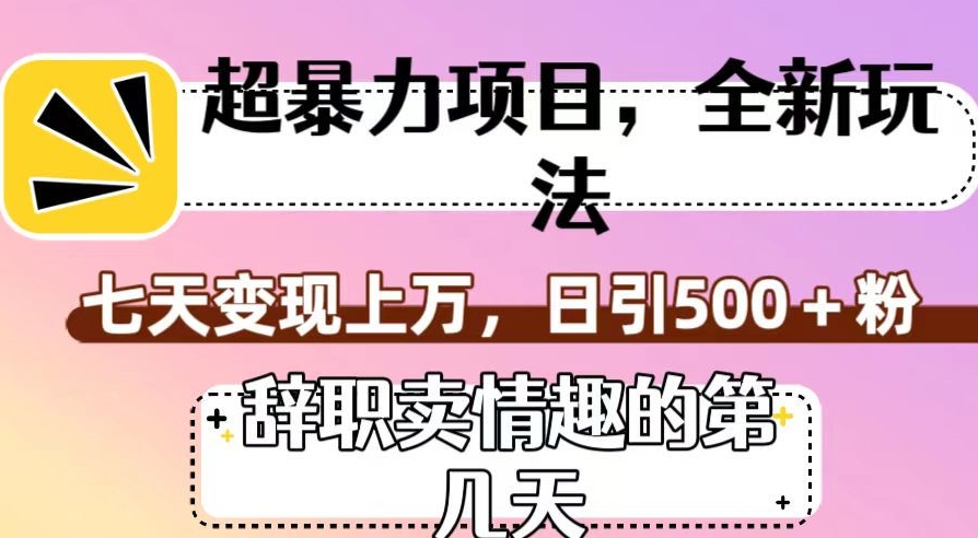 超暴利项目，全新玩法（辞职卖情趣的第几天），七天变现上万，日引500+粉【揭秘】-猫哥网资源库