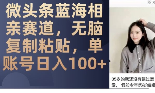 微头条蓝海相亲赛道，无脑复制粘贴，单账号日入100+-猫哥网资源库