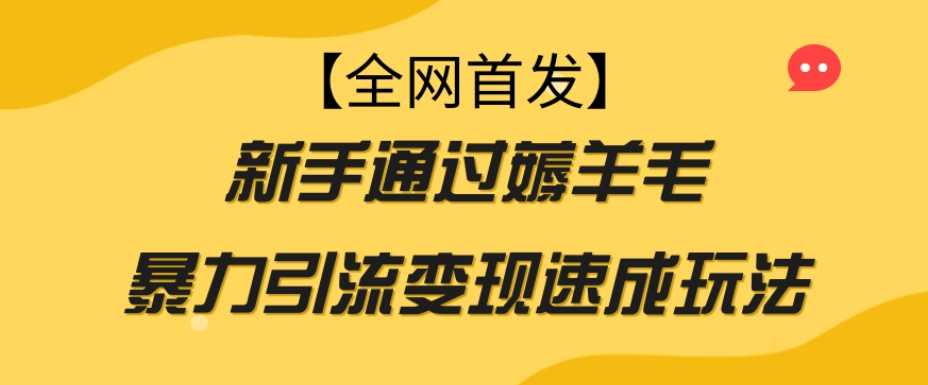 【全网首发】新手通过薅羊毛暴力引流变现速成玩法-猫哥网资源库