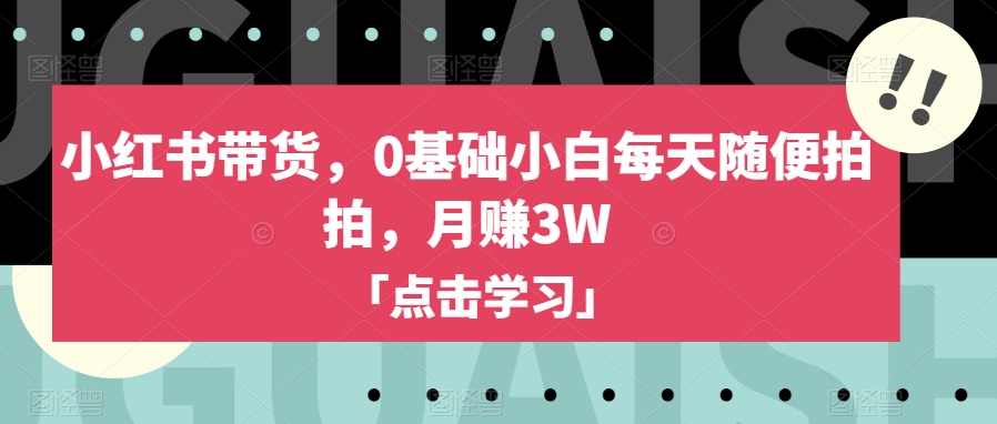 小红书带货，0基础小白每天随便拍拍，月赚3W【揭秘】-猫哥网资源库