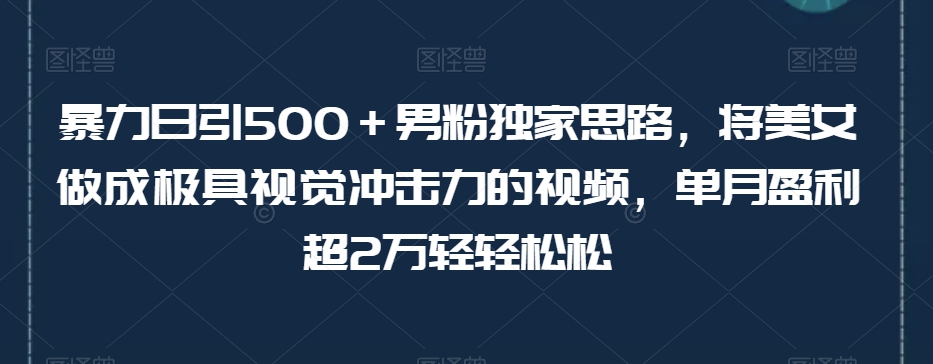 暴力日引500＋男粉独家思路，将美女做成极具视觉冲击力的视频，单月盈利超2万轻轻松松-猫哥网资源库
