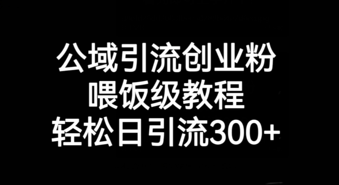 公域引流创业粉，喂饭级教程，轻松日引流300+【揭秘】-猫哥网资源库