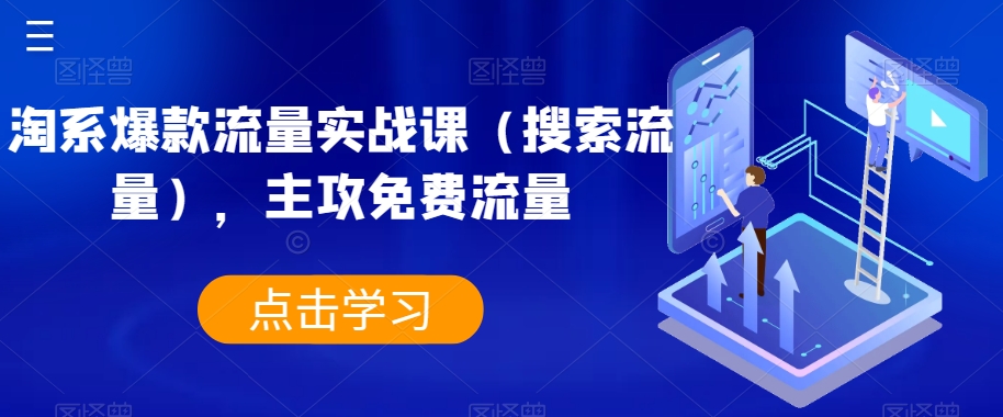 淘系爆款流量实战课（搜索流量），主攻免费流量-猫哥网资源库