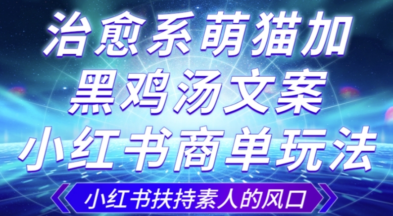 治愈系萌猫加+黑鸡汤文案，小红书商单玩法，3~10天涨到1000粉，一单200左右-猫哥网资源库