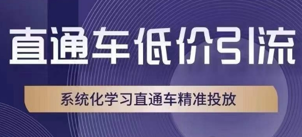 直通车低价引流课，系统化学习直通车精准投放-猫哥网资源库