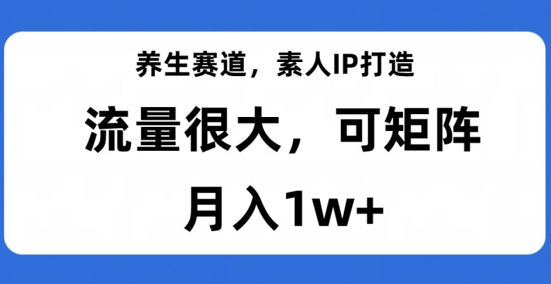 养生赛道，素人IP打造，流量很大，可矩阵，月入1w+【揭秘】-猫哥网资源库