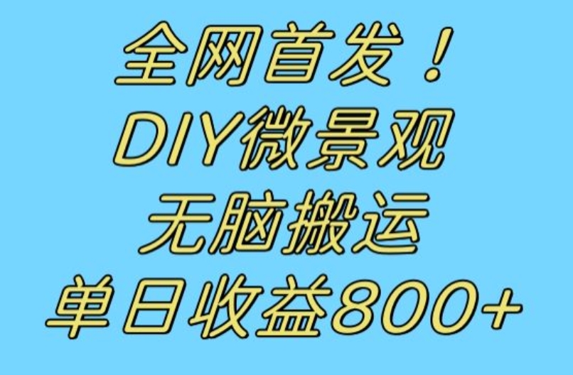 全网首发冷门赛道！DIY微景观，无脑搬运视频，日收益800+【揭秘】-猫哥网资源库