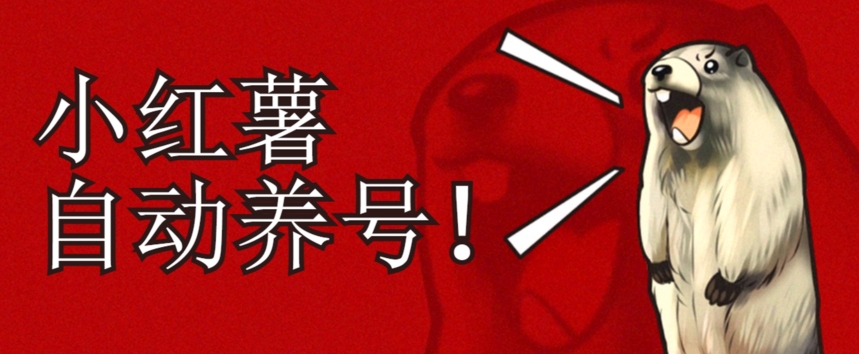 小红书养号秘籍，如何自动涨粉清晰系统标签打造高权重账号【揭秘】-猫哥网资源库