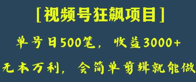 日收款500笔，纯利润3000+，视频号狂飙项目，会简单剪辑就能做【揭秘】-猫哥网资源库
