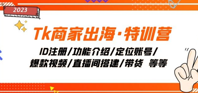 Tk商家出海·特训营：ID注册/功能介绍/定位账号/爆款视频/直播间搭建/带货-猫哥网资源库