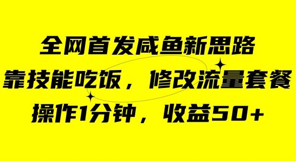 咸鱼冷门新玩法，靠“技能吃饭”，修改流量套餐，操作1分钟，收益50【揭秘】-猫哥网资源库