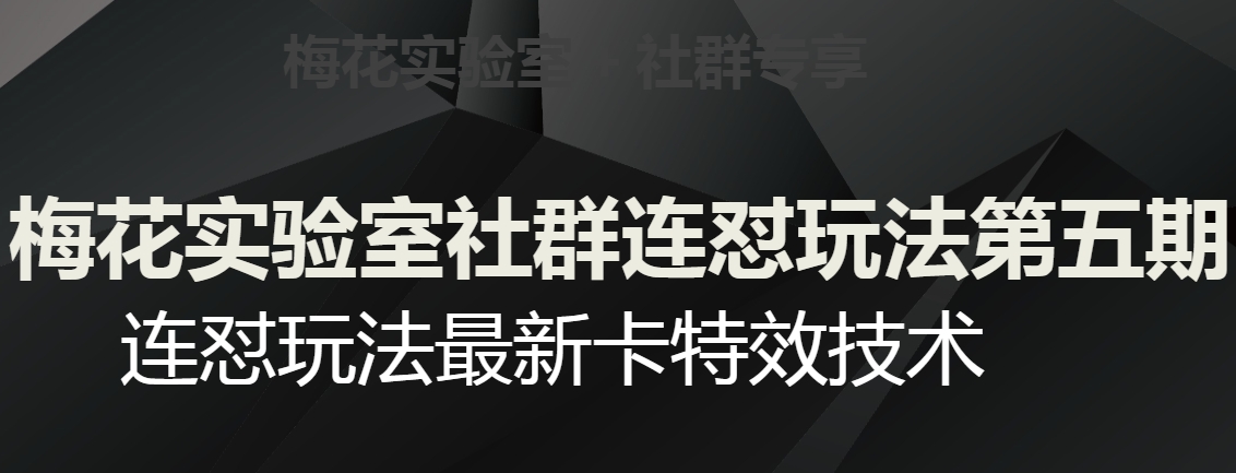 梅花实验室社群连怼玩法第五期，视频号连怼玩法最新卡特效技术-猫哥网资源库