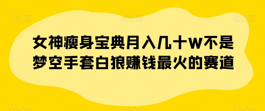 女神瘦身宝典月入几十W不是梦空手套白狼赚钱最火的赛道【揭秘】-猫哥网资源库