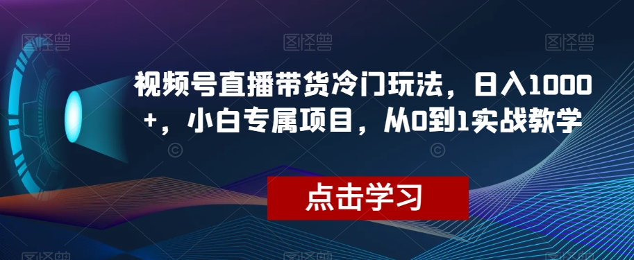 视频号直播带货冷门玩法，日入1000+，小白专属项目，从0到1实战教学【揭秘】-猫哥网资源库