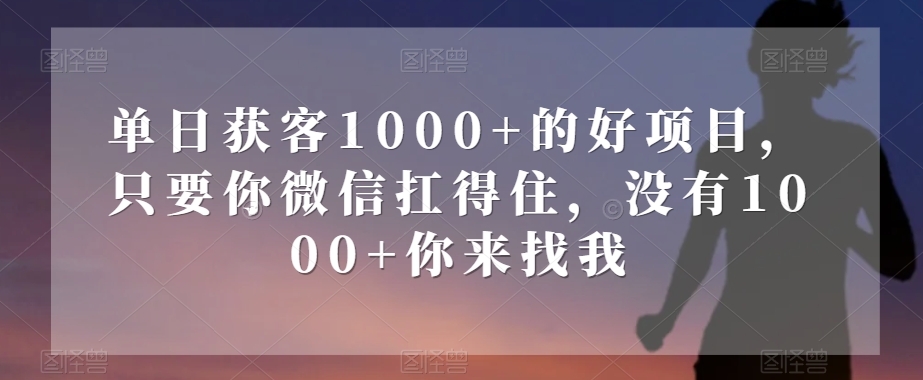 单日获客1000+的好项目，只要你微信扛得住，没有1000+你来找我【揭秘】-猫哥网资源库