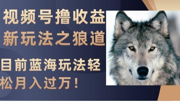 视频号撸收益新玩法之狼道，目前蓝海玩法，轻松月入过万【揭秘】-猫哥网资源库