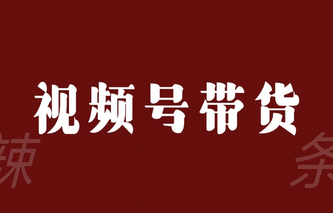 视频号带货联盟，赚信息差的带货钱，只需手机随时随地都可以做！-猫哥网资源库