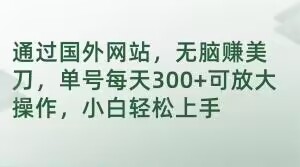 通过国外网站，无脑赚美刀，单号每天300+可放大操作，小白轻松上手【揭秘】-猫哥网资源库