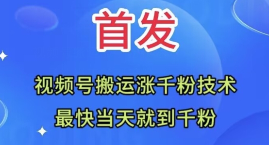 全网首发：视频号无脑搬运涨千粉技术，最快当天到千粉【揭秘】-猫哥网资源库
