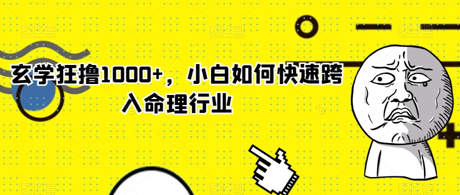 玄学狂撸1000+，小白如何快速跨入命理行业【揭秘】-猫哥网资源库