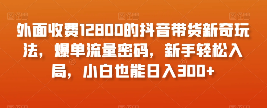 外面收费12800的抖音带货新奇玩法，爆单流量密码，新手轻松入局，小白也能日入300+【揭秘】-猫哥网资源库