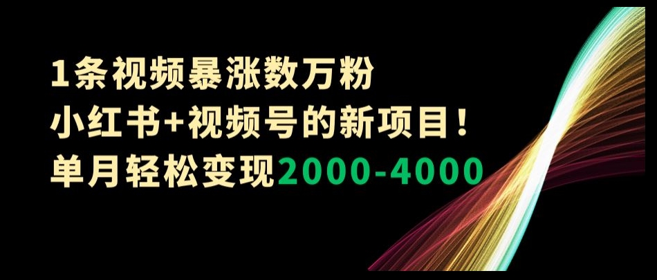 1条视频暴涨数万粉–小红书+视频号的新项目！单月轻松变现2000-4000【揭秘】-猫哥网资源库