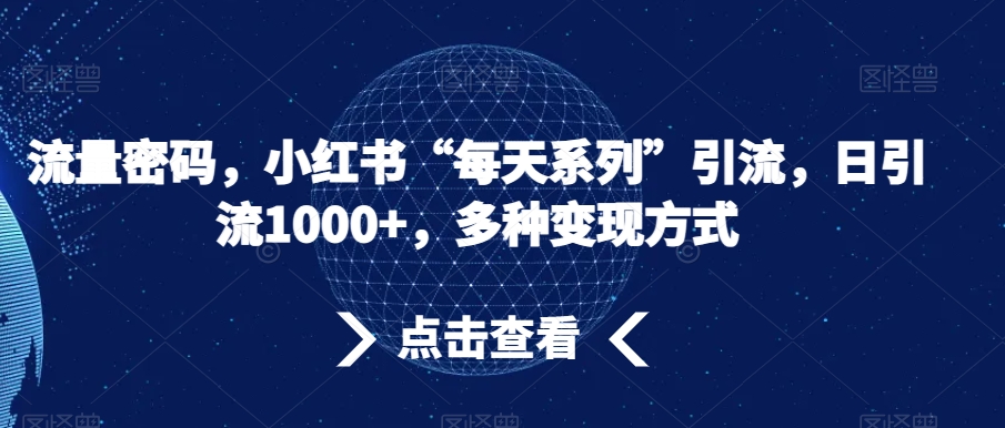 流量密码，小红书“每天系列”引流，日引流1000+，多种变现方式【揭秘】-猫哥网资源库