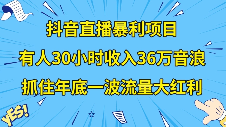 抖音直播暴利项目，有人30小时收入36万音浪，公司宣传片年会视频制作，抓住年底一波流量大红利【揭秘】-猫哥网资源库