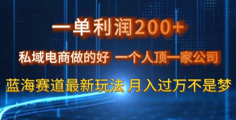 一单利润200私域电商做的好，一个人顶一家公司蓝海赛道最新玩法【揭秘】-猫哥网资源库