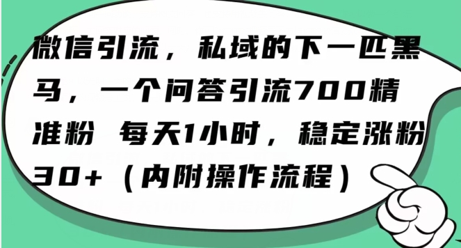 怎么搞精准创业粉？微信新赛道，每天一小时，利用Ai一个问答日引100精准粉-猫哥网资源库