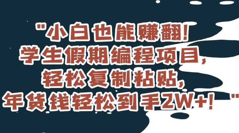 小白也能赚翻！学生假期编程项目，轻松复制粘贴，年货钱轻松到手2W+【揭秘】-猫哥网资源库