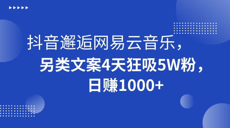 抖音邂逅网易云音乐，另类文案4天狂吸5W粉，日赚1000+【揭秘】-猫哥网资源库
