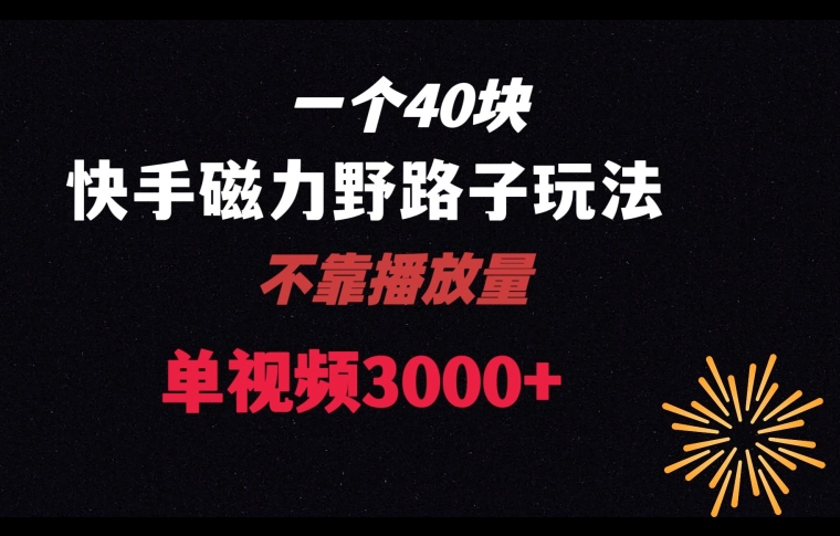 一个40块，快手联合美团磁力新玩法，无视机制野路子玩法，单视频收益4位数【揭秘】-猫哥网资源库