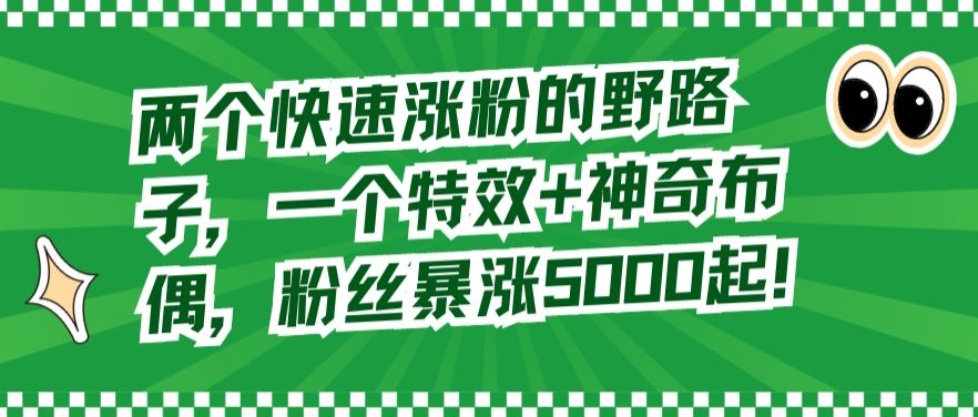两个快速涨粉的野路子，一个特效+神奇布偶，粉丝暴涨5000起【揭秘】-猫哥网资源库