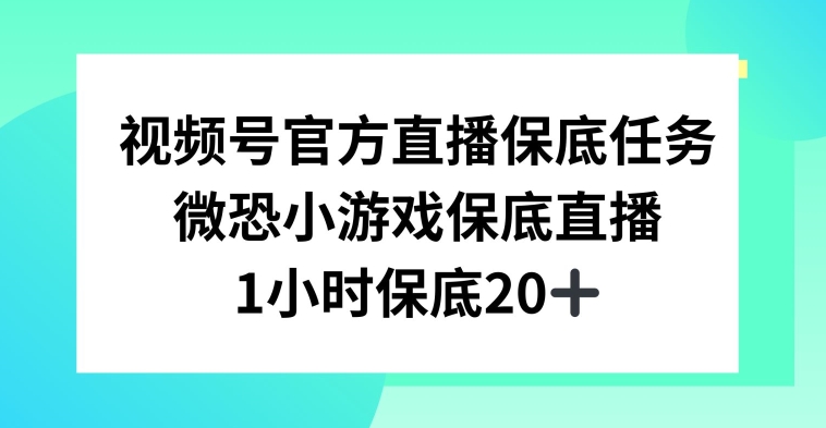 视频号直播任务，微恐小游戏，1小时20+【揭秘】-猫哥网资源库