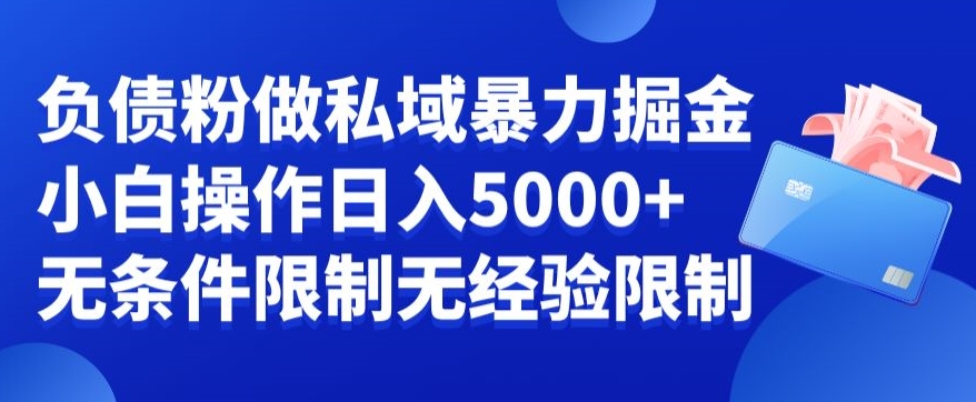 负债粉私域暴力掘金，小白操作入5000，无经验限制，无条件限制【揭秘】-猫哥网资源库