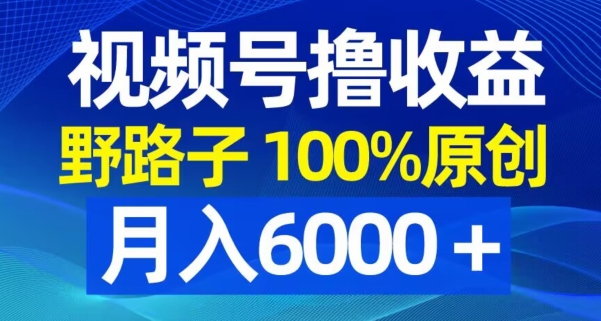 视频号野路子撸收益，100%原创，条条爆款，月入6000＋【揭秘】-猫哥网资源库