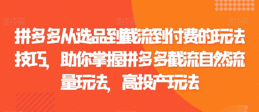 拼多多从选品到截流到付费的玩法技巧，助你掌握拼多多截流自然流量玩法，高投产玩法-猫哥网资源库