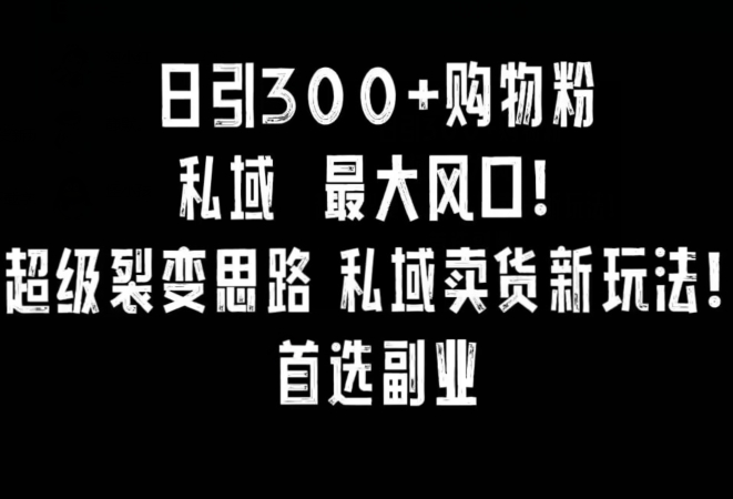 日引300+购物粉，超级裂变思路，私域卖货新玩法，小红书首选副业【揭秘】-猫哥网资源库