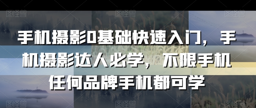 手机摄影0基础快速入门，手机摄影达人必学，不限手机任何品牌手机都可学-猫哥网资源库