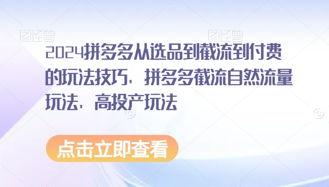 2024拼多多从选品到截流到付费的玩法技巧，拼多多截流自然流量玩法，高投产玩法-猫哥网资源库