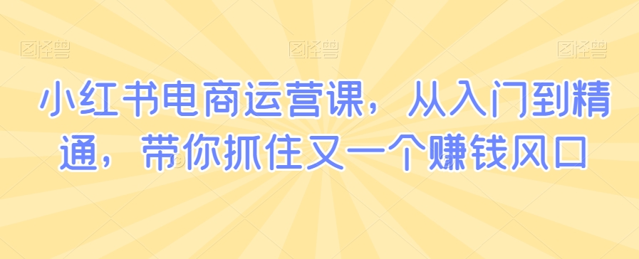 小红书电商运营课，从入门到精通，带你抓住又一个赚钱风口-猫哥网资源库